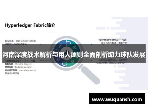 河南深度战术解析与用人原则全面剖析助力球队发展