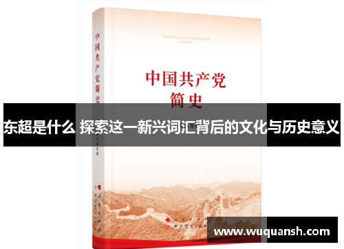 东超是什么 探索这一新兴词汇背后的文化与历史意义