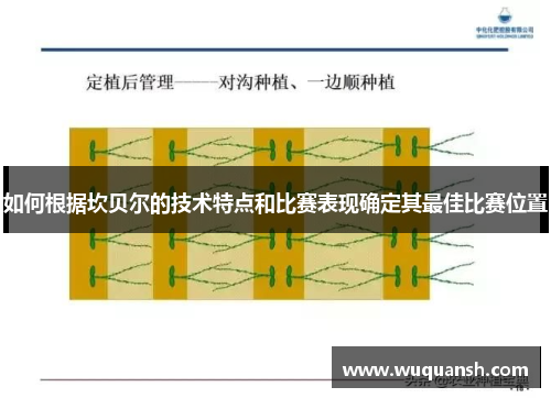 如何根据坎贝尔的技术特点和比赛表现确定其最佳比赛位置